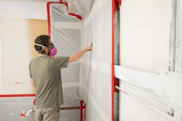 Best Attic Mold Removal  in Harb, OR