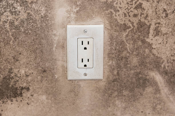 Best Emergency Mold Remediation  in Harb, OR