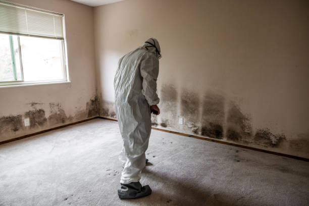 Biohazard Mold Removal in Harbor, OR